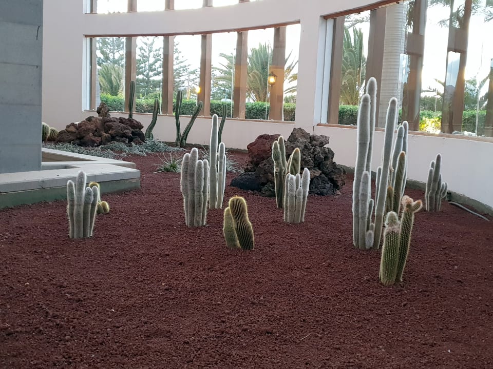 Weg zu den Restaurants Princesa Yaiza Suite Hotel Resort