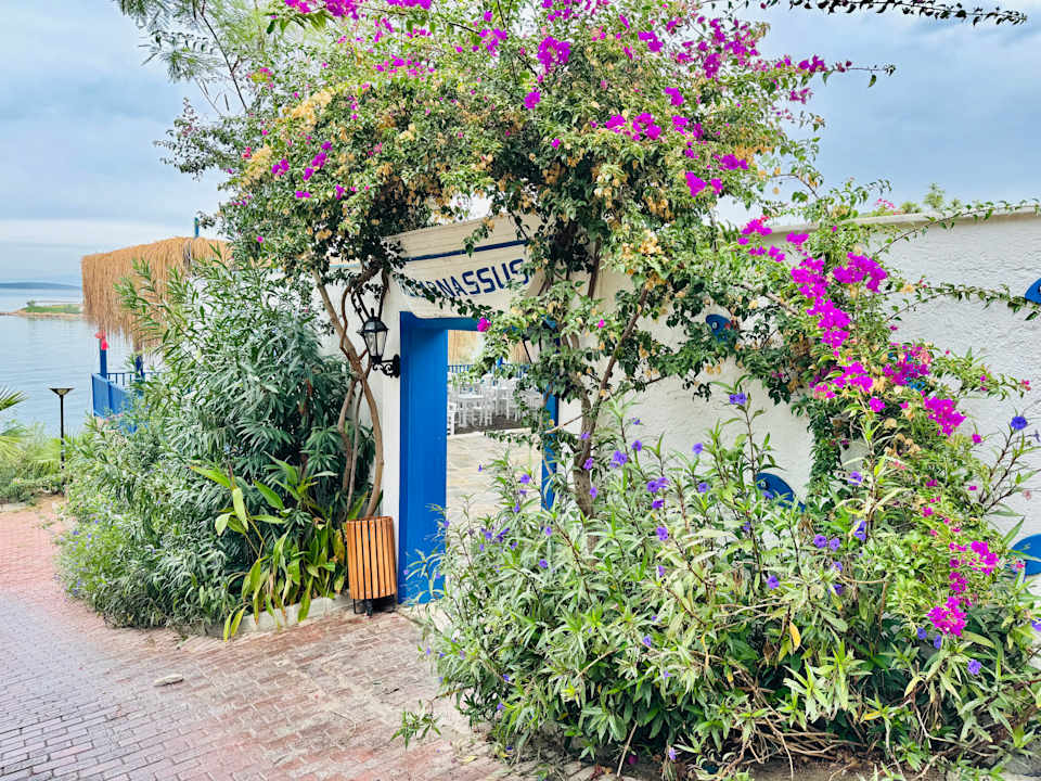 Gastro Blue Dreams Resort & Spa