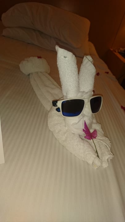 Zimmer Cleopatra Luxury Resort Makadi Bay