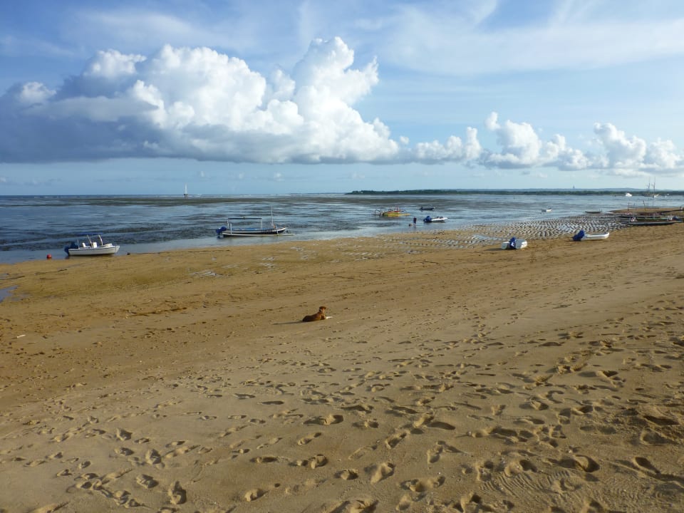 Strand Prama Sanur Beach Bali