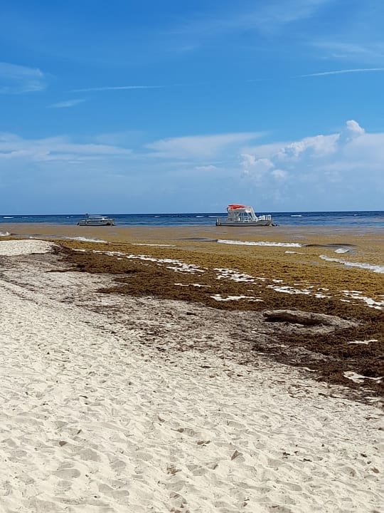 Strand VIK Hotel Arena Blanca