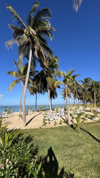 Strand Hotel Riu Palace Mauritius