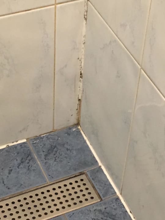 Schimmel in der Dusche Durty Nelly's Hostel