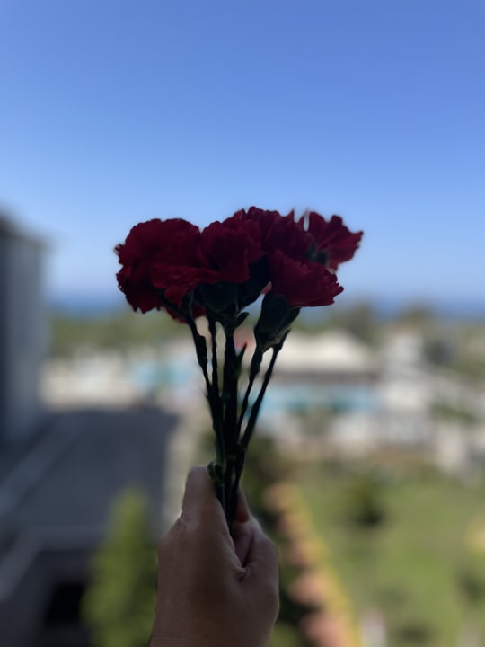 Sonstiges Sunis Elita Beach Resort & Spa