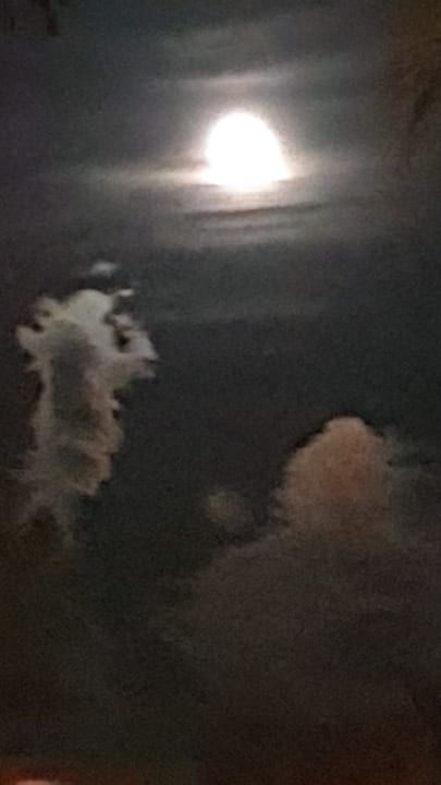 Ausblick Jaz Makadi Oasis Resort