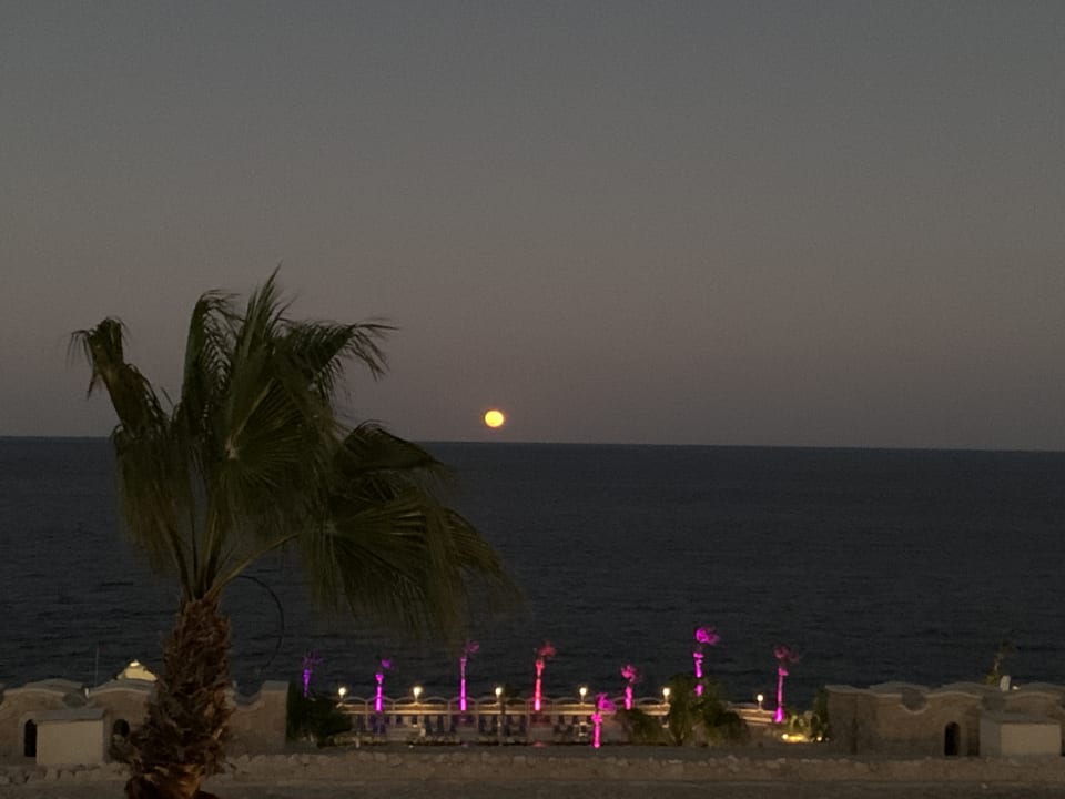 Ausblick Pickalbatros Citadel Resort