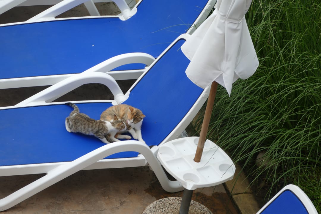 Sonstiges Sol Luna Bay