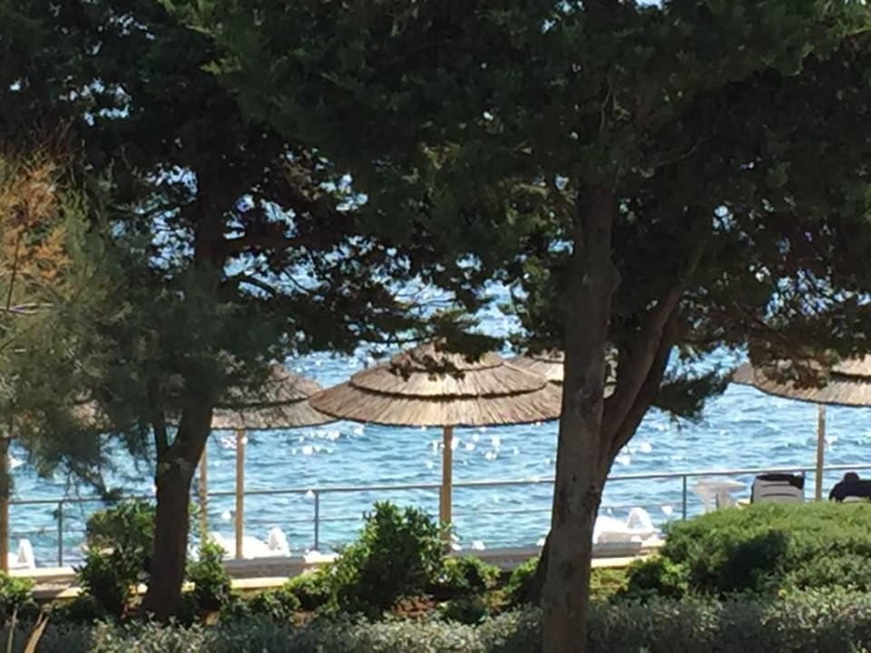 Blick von Casa Sanfior Valamar Sanfior Hotel & Casa