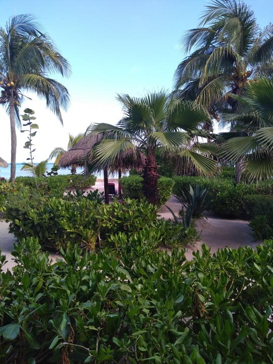 Gartenanlage Hotel Villas Flamingos