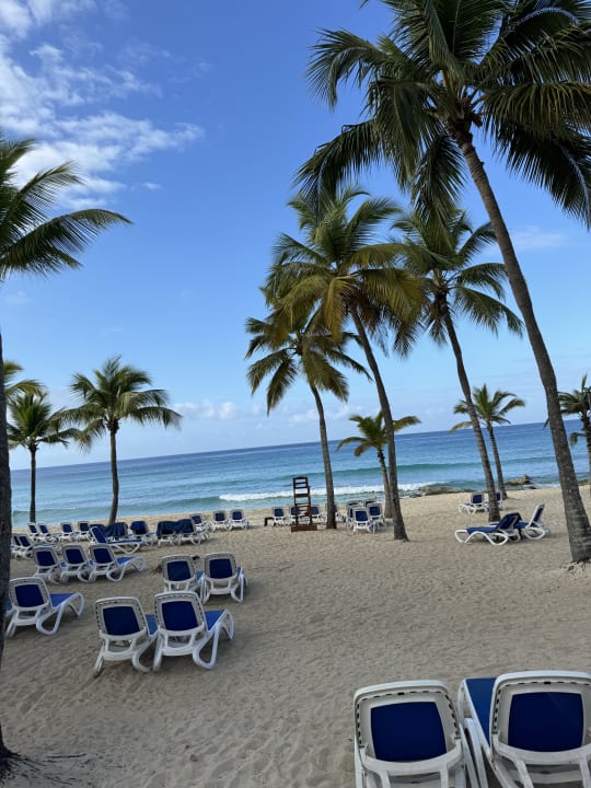 Strand Hotel Viva Dominicus Palace by Wyndham-All Inclusive Resort