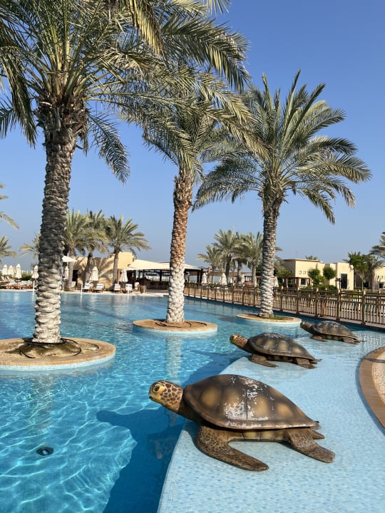 Pool Saadiyat Rotana Resort &  Villas