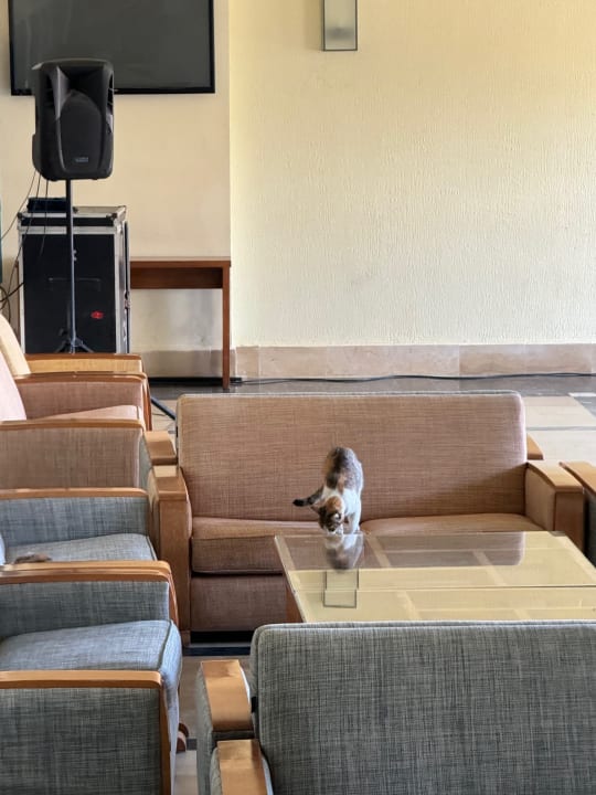 Sonstiges Calimera Yati Beach