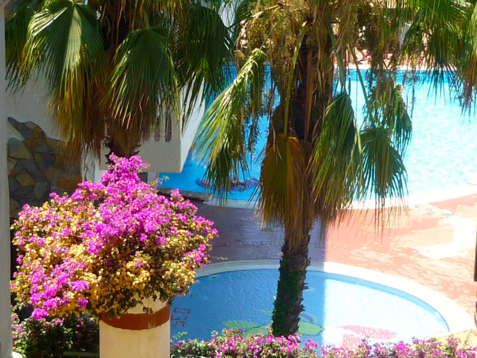 Blick auf den Pool Hotel Defne Dream