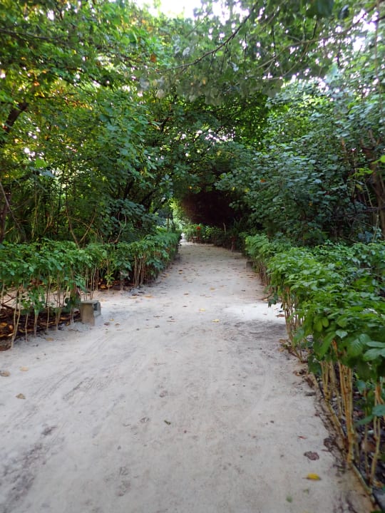 Gartenanlage Reethi Faru Resort
