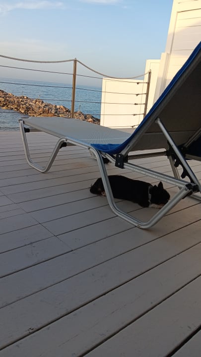 Zimmer Knossos Beach Bungalows Suites Resort & Spa