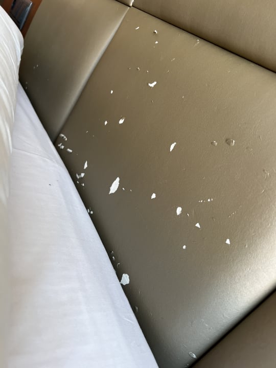 Zimmer Protur Turo Pins Hotel