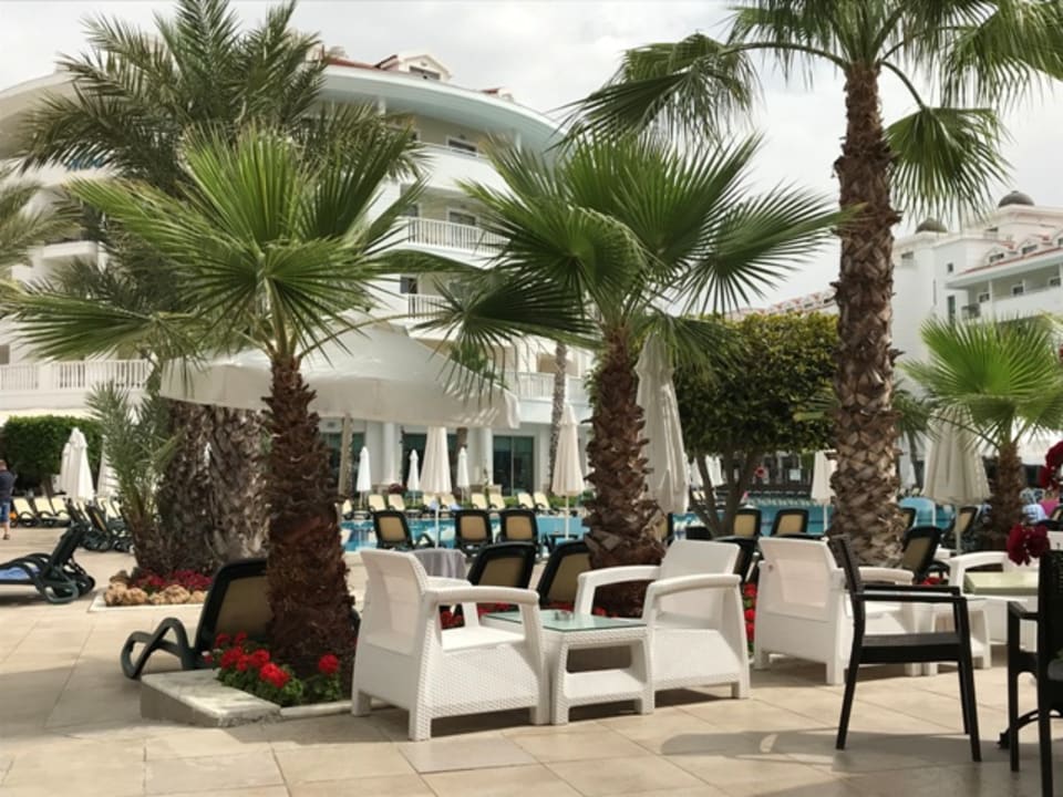 Gastro Alba Queen Hotel