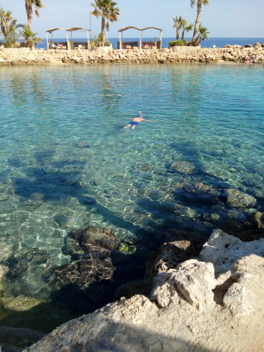 Strand Pickalbatros Citadel Resort