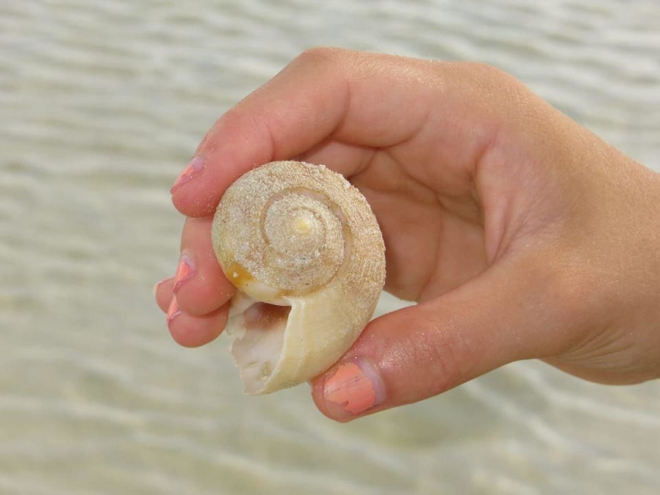 Selbsterklärend Hotel Villas Flamingos