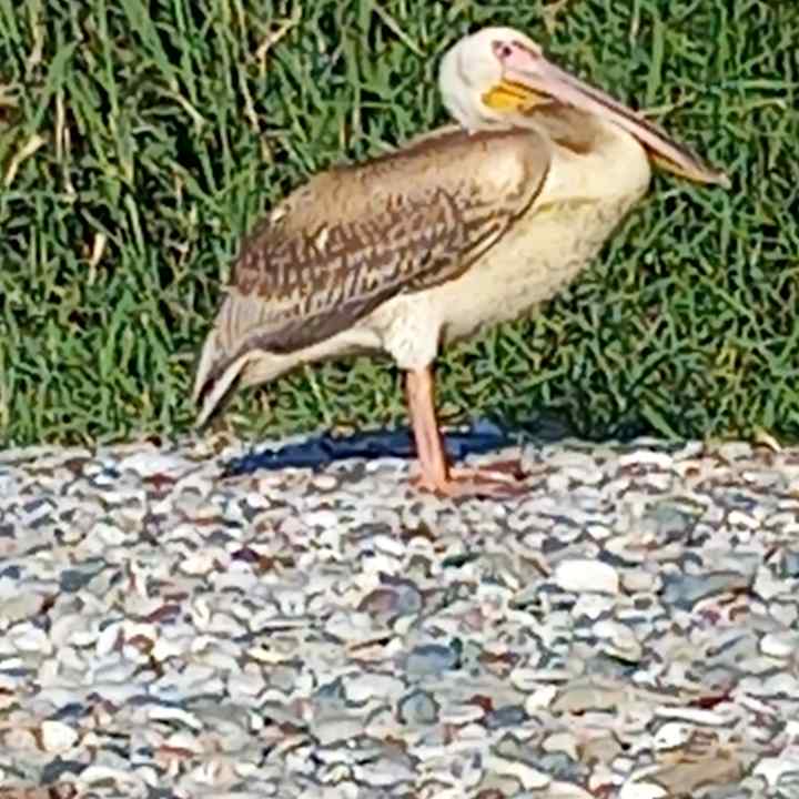 Sonstiges Lindos Princess Beach Resort & Spa