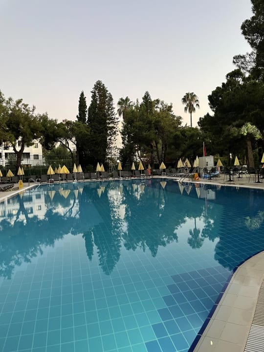 Pool Asteria Collection Side