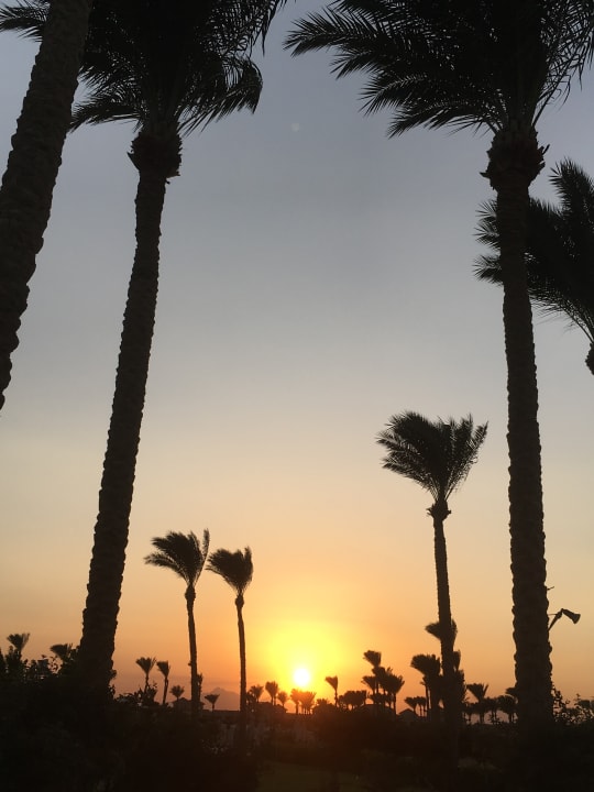 Ausblick Cleopatra Luxury Resort Makadi Bay