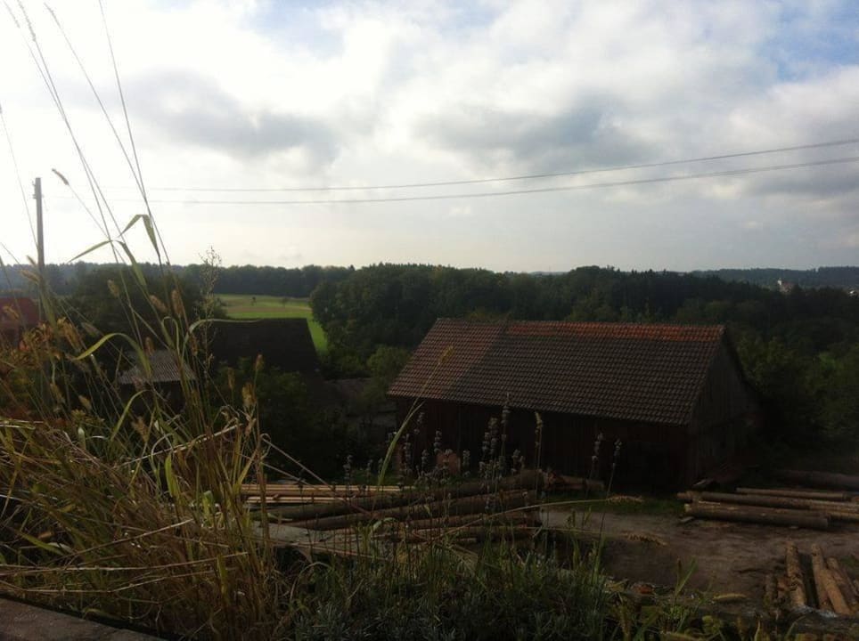 Blick von der Dachterrasse Vita Haus am Palmengarten