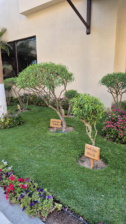 Gartenanlage Steigenberger Aqua Magic