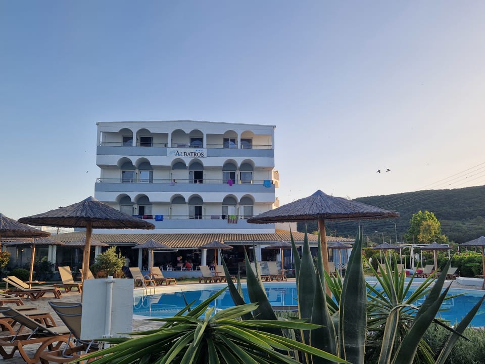 Pool Hotel Albatros