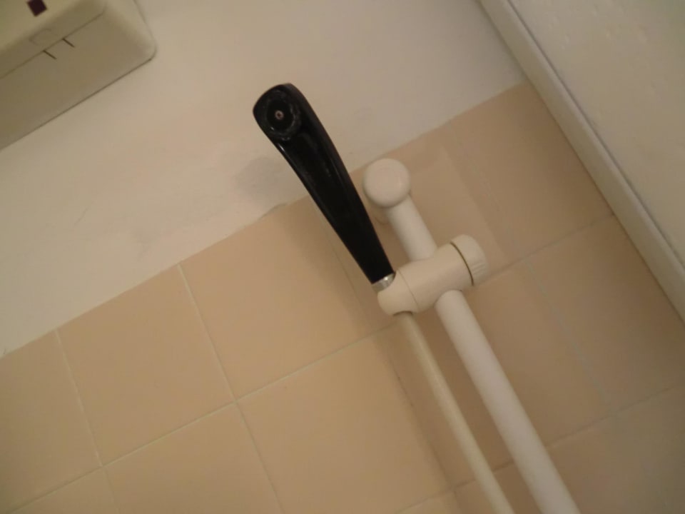 Der Duschkopf. Hotel Fortuna City