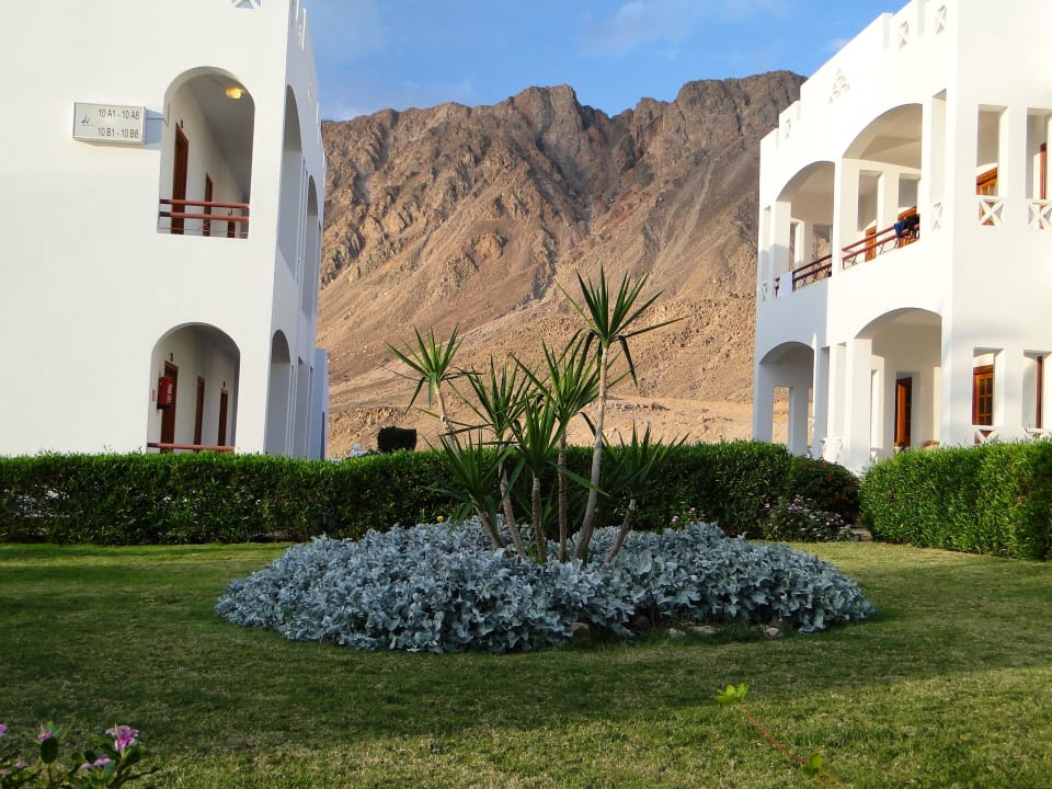 Piękne góry zaraz za hotelem.  Happy Life Village