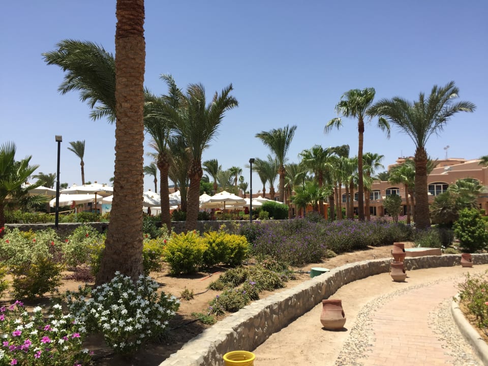 Gartenanlage Club Paradisio El Gouna, Red Sea