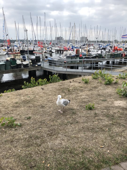 Außenansicht Acqua Strande Yachthotel