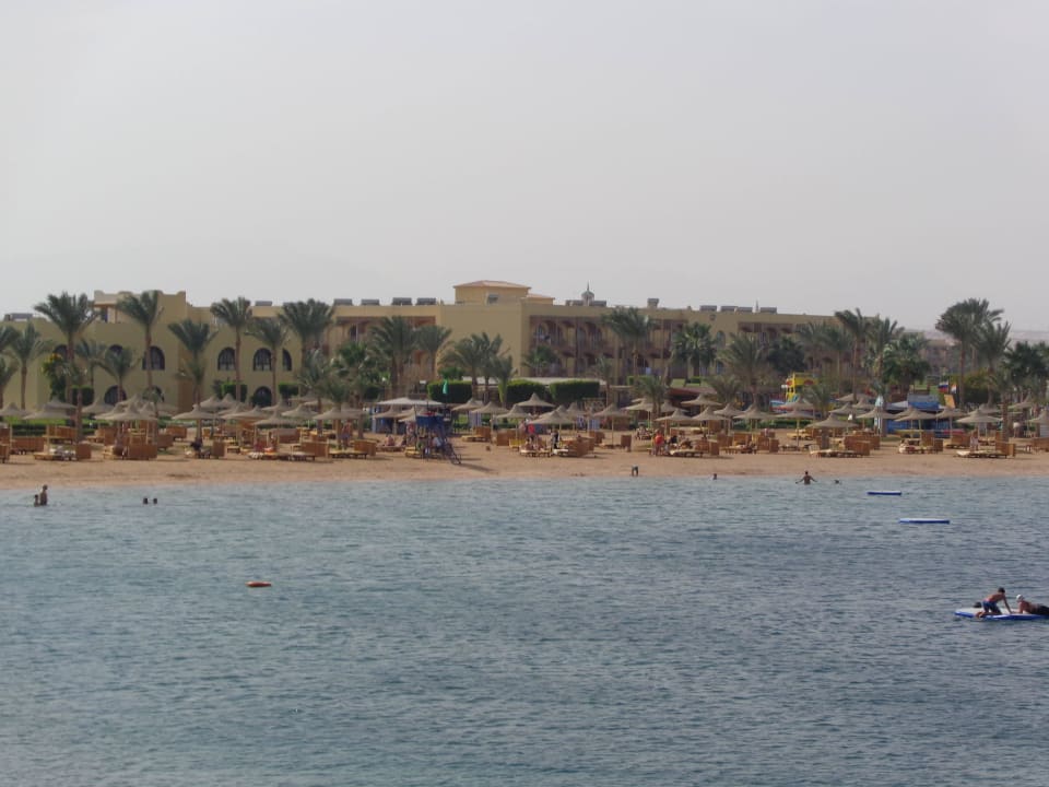 Отель Desert Rose