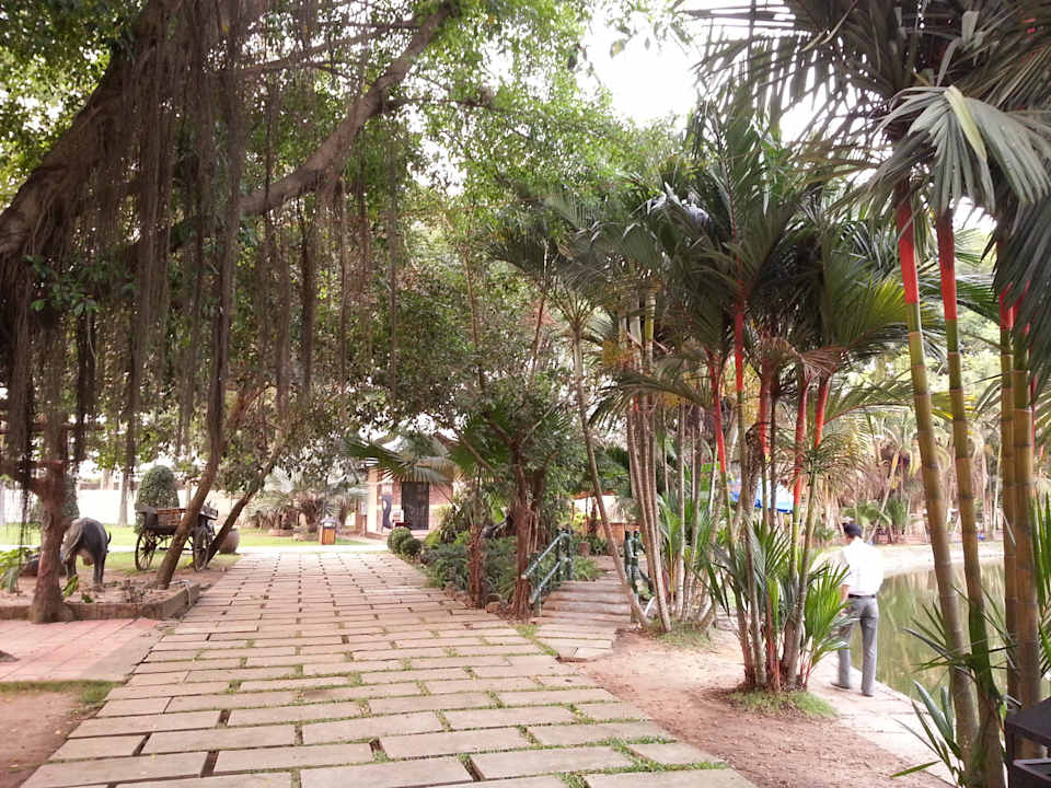 Neben Großen Baum  Villa h2o