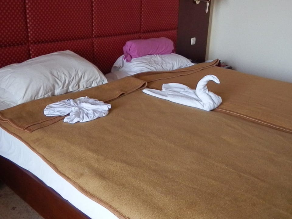 Nr. 153 Hotel Amir Palace