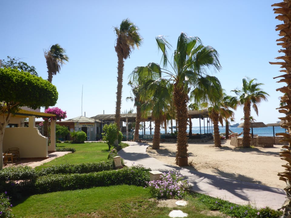 Strand Lotus Bay Beach Resort