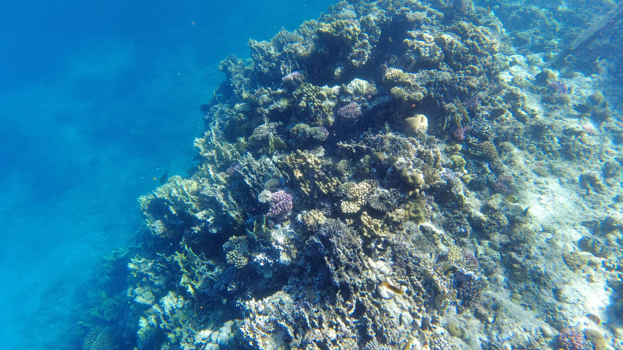 Sport & Freizeit Three Corners Sea Beach Resort