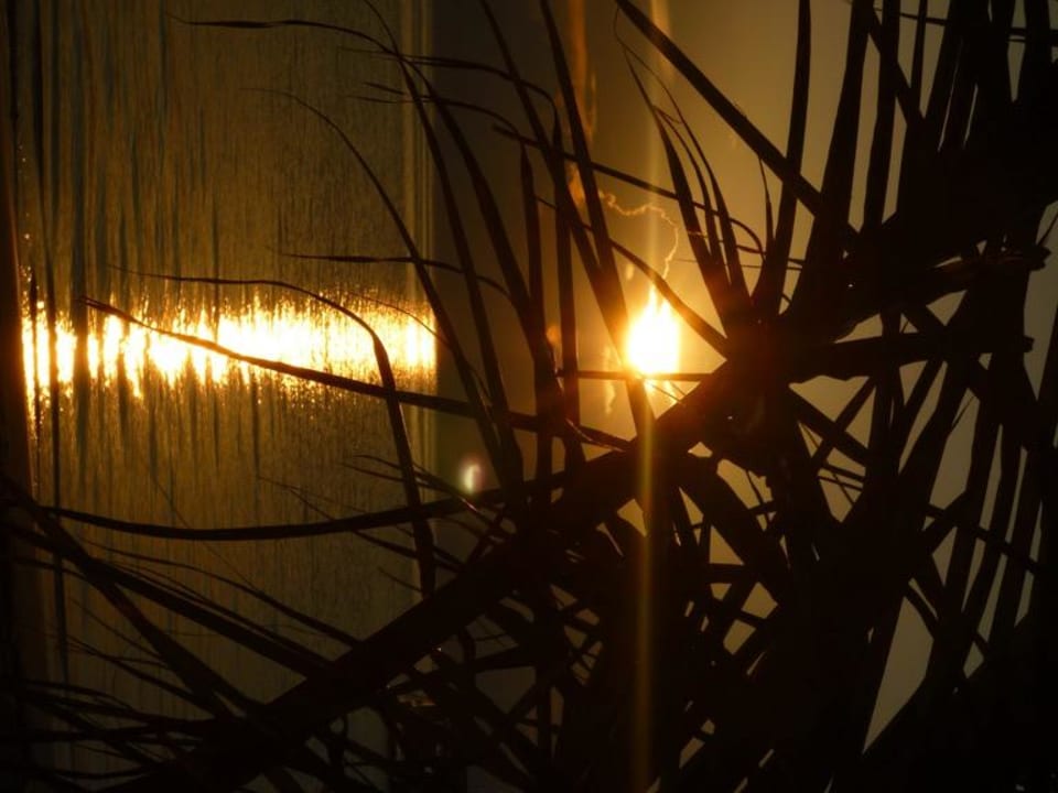 Sonnenaufgang, die 2te Villas Bavaro Resort & Spa