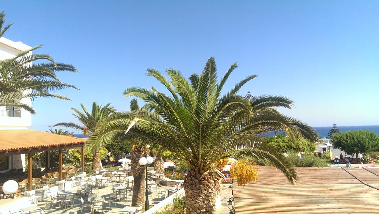 Ausblick TUI SUNEO Chrissi Amoudia