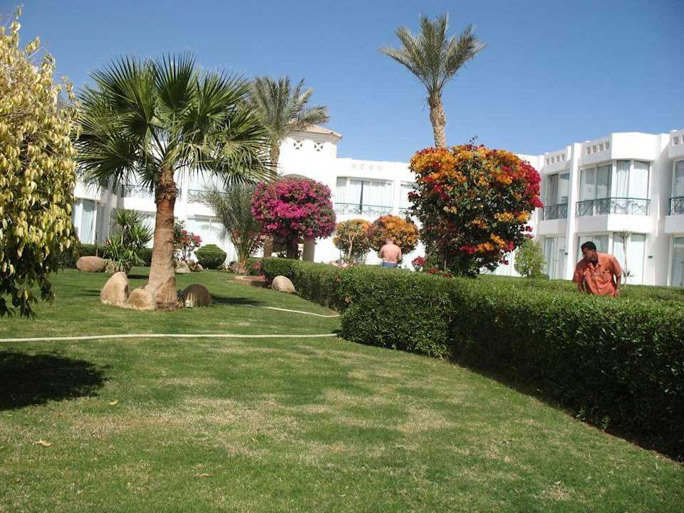 Jeden z ogrodów Hotel Amarante Garden Palms Resort