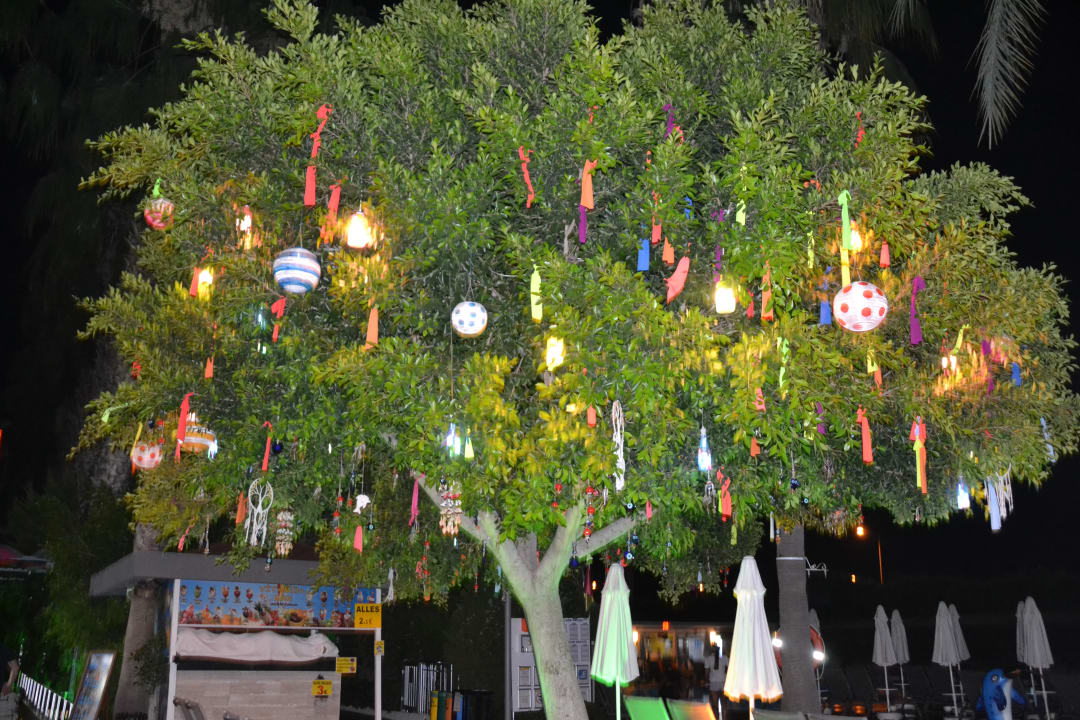 Gartenanlage Hane Family Resort