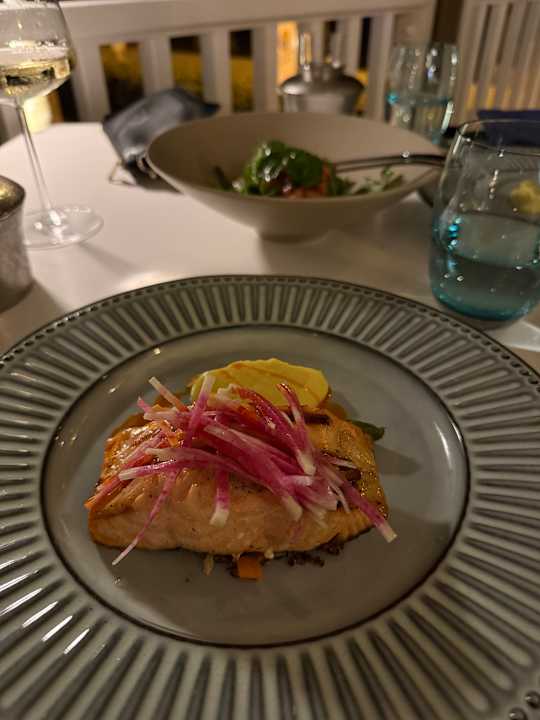 Gastro Acanthus Cennet Barut Collection