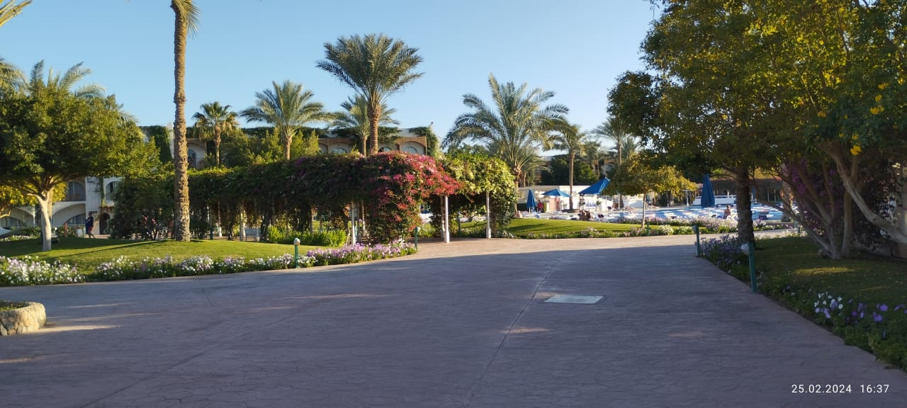 Gartenanlage Desert Rose