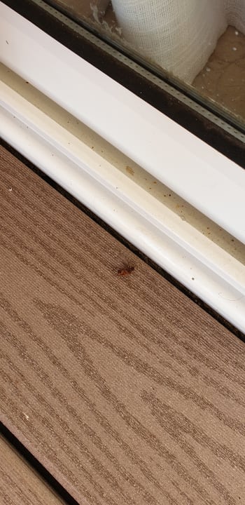 Zimmer Grand Palladium Select Bávaro Resort & Spa