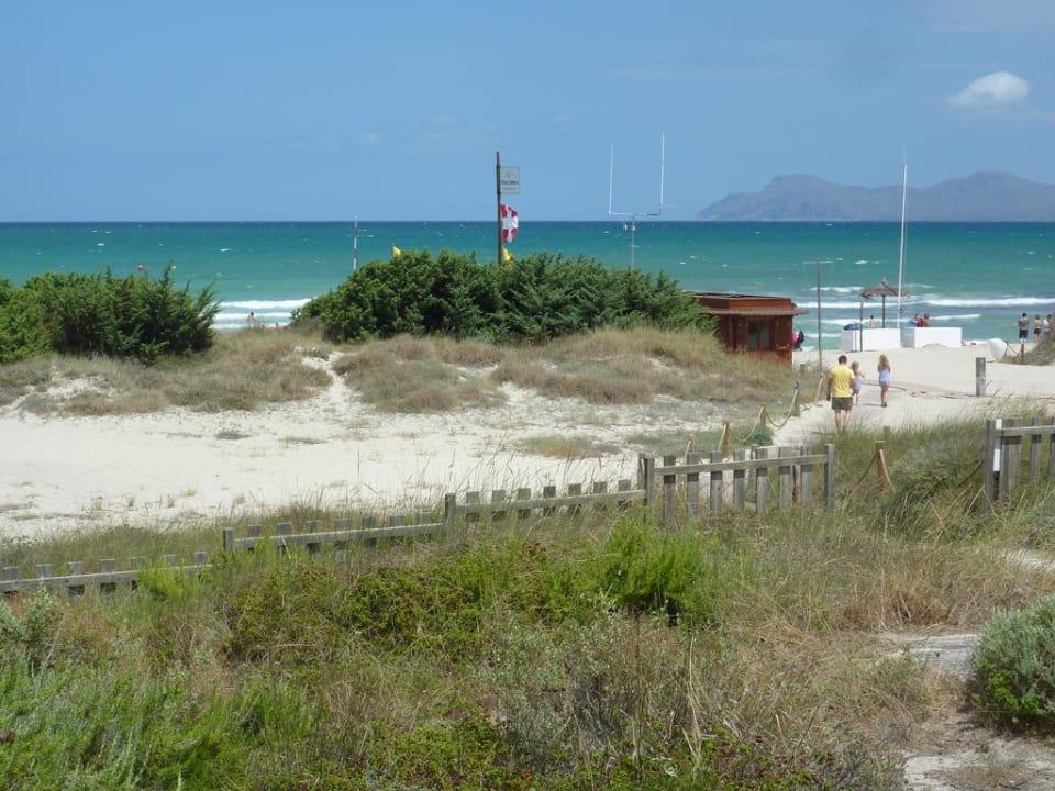 Strandabgang Zafiro Bahia