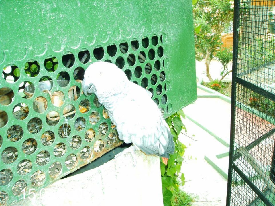 Jacko Bahía de Alcúdia Hotel & Spa