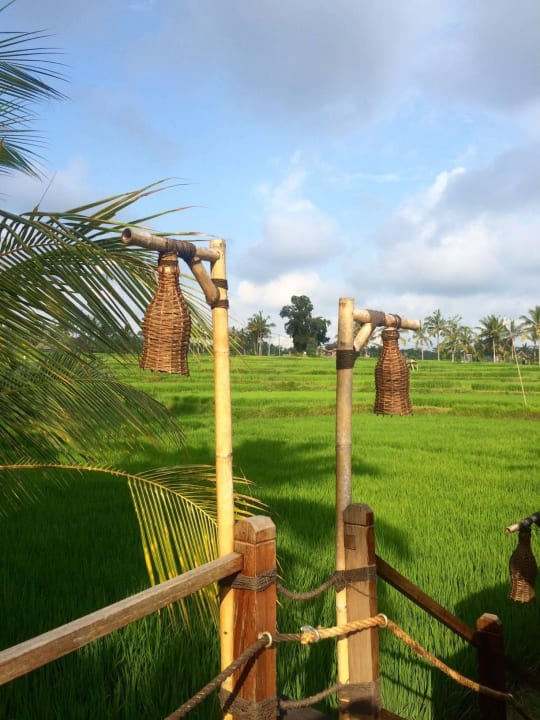 Baliidylle Manyi Village