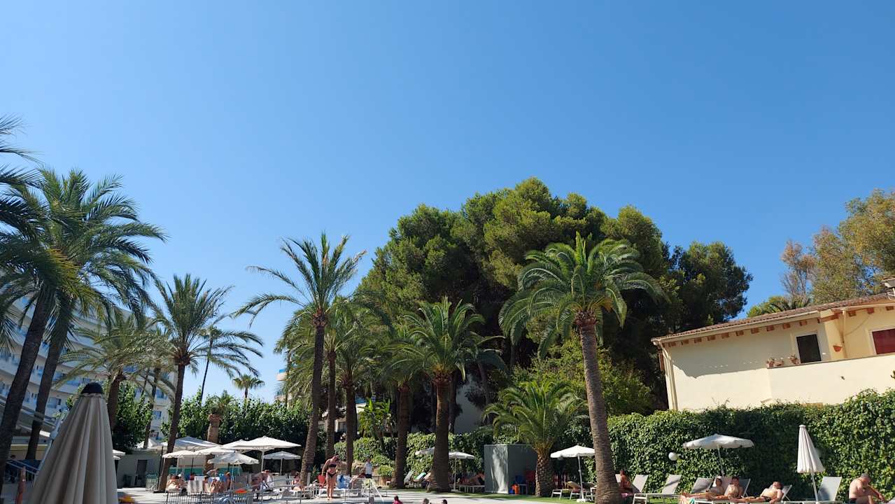 Gartenanlage Hotel Cosmopolitan