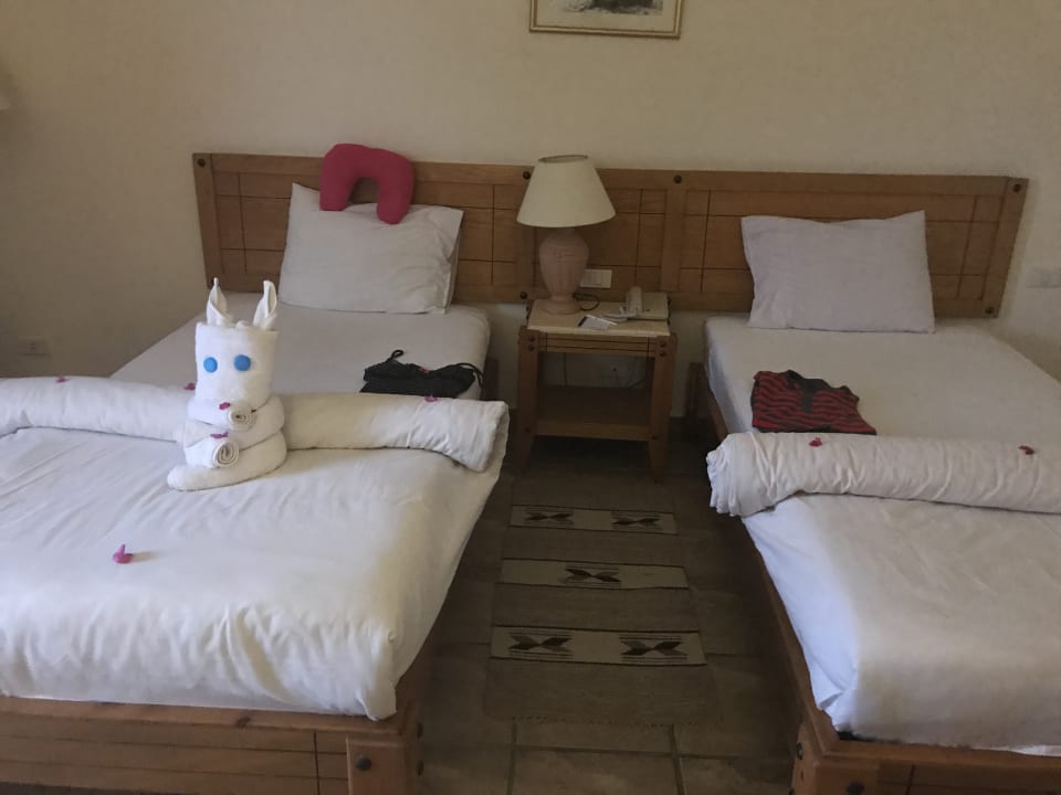 Zimmer Three Corners Fayrouz Plaza Beach Resort